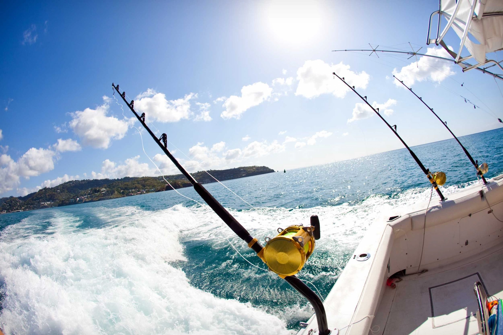 Inshore vs offshore fishing in Manuel Antonio: what's the difference?