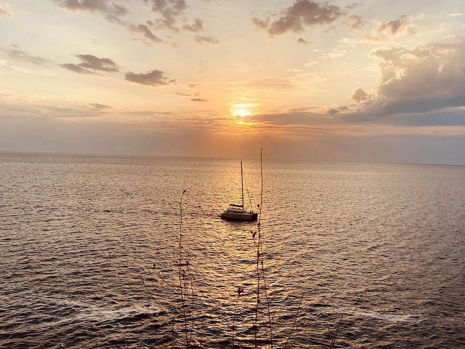 Morning or afternoon fishing charter: which is better?